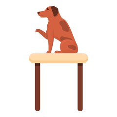 Dog on groomer table icon. Cartoon of dog on groomer table vector icon for web design isolated on white background