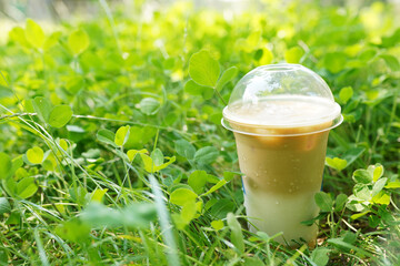 Iced latte in plastic cup, takeaway beverage in green grass