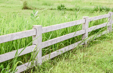 Fototapeta na wymiar Concrete fence with green grass filed