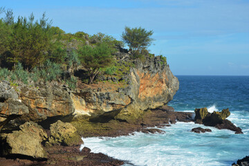 rocky coast of the sea