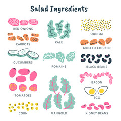 Salad ingredients illustration, colorful, isolated