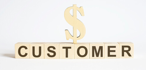 Text CUSTOMER on wood cube block with wooden dollar. Business concept.
