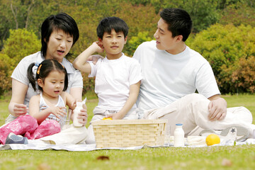 A family picnicking in the park