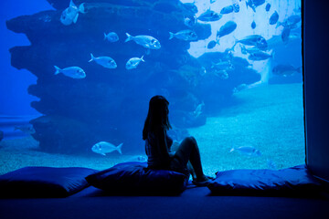 Woman silhouette in front of big aquarium. Dark blue photo with sea fish. © sapsan777