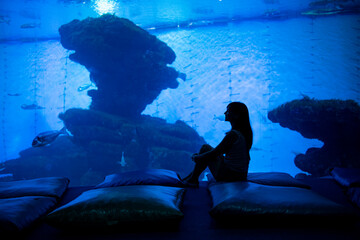 Woman silhouette in front of big aquarium. Dark blue photo with sea fish. © sapsan777