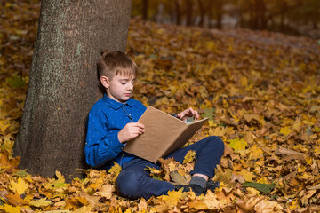 Boy reading books in autumn forest sitting on fall leaves. Child booklover.