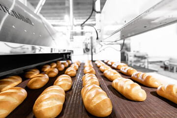 Automated production line bakery Fresh hot baked breads