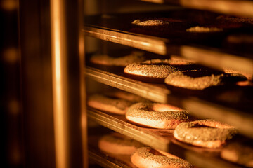 Bagels with poppy seeds are baked in oven. Industrial food production line
