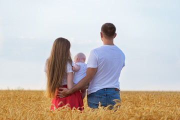 Young family in wheat field with small child. Mom dad and baby. Back view.