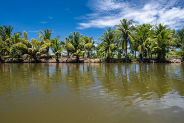 The coconut trees were planted in a long line. Reflected with the beautiful water surface.