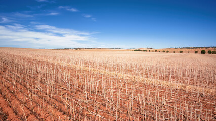 south australia agriculture dry field