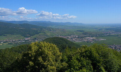 Blick in das Münstertal in den Vogesen im Elsass