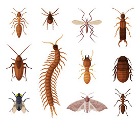 Harmful Insects Set, Centipede, Moth, Diplura, Ant, Mite, Tick, Cockroach, Fly, Pest Control and Extermination Concept Vector Illustration