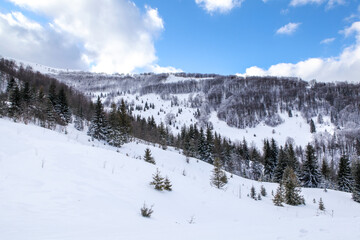 Fototapeta na wymiar snow covered Carpathians mountains