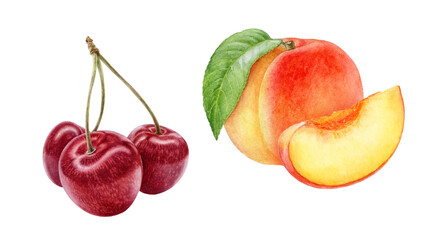 Sweet cherry peach watercolor illustration isolated on white background