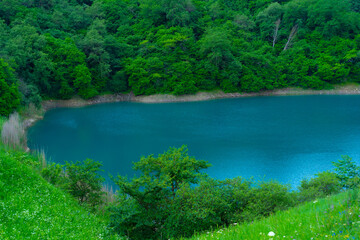 Mountain lake with trees growing around