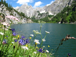 bergsee