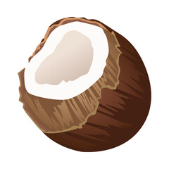 fresh coconut fruit summer icon