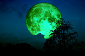 Super aardbei maan terug wolk en boom in het veld en de nachtelijke hemel