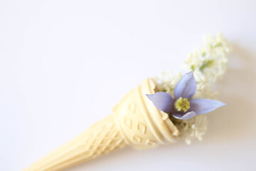 Bouquet of fresh flowers in ice cream cone on white background. Happy birthday. Card. 