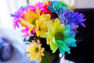 Rainbow Flowers 