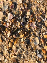 pebbles on the beach