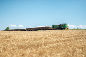 Fototapeta premium A train passes a wheat field