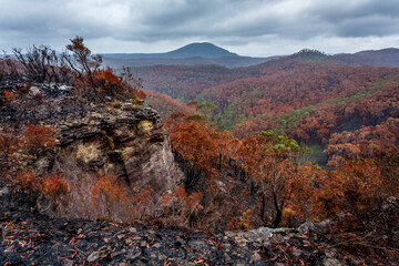 Landscape views after bush fires in Blue Mountains Australia