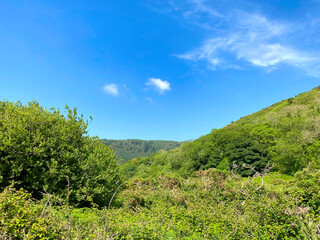 Forested area on the hills along the Sulby River Valley of the beautiful countryside of the Isle of Man British Isles