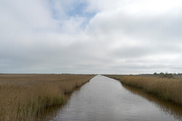 Channel landscape with waves in Danube Delta,  Romania,  on summer day