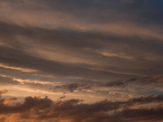 Fototapeta premium Light evening сumulus clouds in the sky. Colorful cloudy sky at sunset. Sky texture, abstract nature background