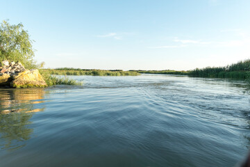 Channel landscape with waves in Danube Delta,  Romania,  on summer day