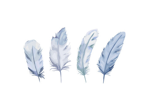 Fether realistic set. Vector isolated illustration on white background