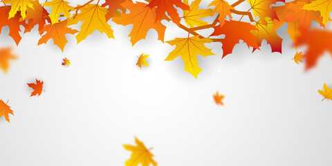 Naklejka na ściany i meble Autumn falling leaves background