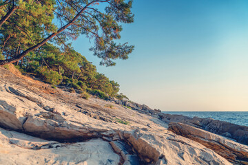 Beautiful landscape, rocky stone sea shore with tall pine trees. Mediterranean Sea in Turkey