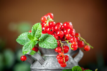 Fresh red currants in a Cup on a dark rustic wooden table. Background with space for copying. Selective focus.