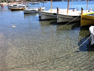 Local traditional spanish boats in an emerald water harbor