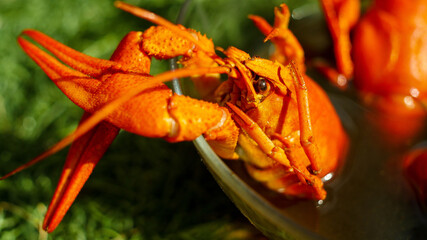 crawfish in a glass bowl