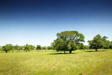 Fototapeta na wymiar picturesque countryside of england