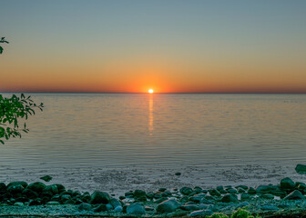 summer sunset landscape with sea cabbage, Crambe maritima, which grows on the coast of the Estonian...