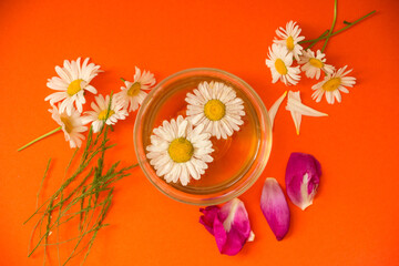 Obraz na płótnie Canvas A cup of tea with daisies, next to a cup are daisy flowers, peony petals, daisies on a bright orange background. Health Drinks