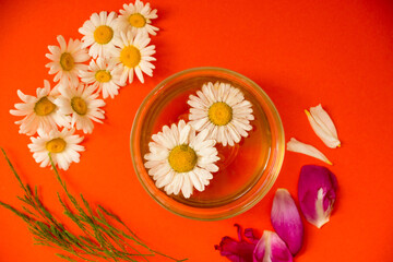 Concept on the theme of healthy drinks. Tea from daisies, around a scattering of fresh flowers on an orange background