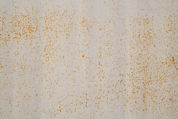 Old rusted metal texture. The surface of the light gray iron wall. Perfect for background and grunge design.