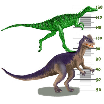 Kids height chart with funny dinosaurs. Illustration in flat style for children growth measure, gift for baby birth, shower. Childish meter wall for nursery design with cute dino. 
