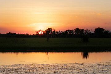 Yellow water pond at sunset time (Ngurrungurrudjba). Sun behind trees. Habitat for birds and crocodiles. Boat tours organized by Cooinda Lodge. Kakadu national park, Northern Territory NT, Australia © Alba
