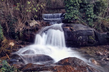 Water flowing in small waterfall in a forest