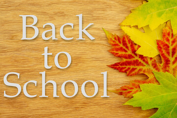 Naklejka premium Back to school concept background. Leafs and text on an oak background with multi colored leafs.