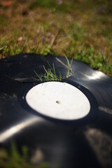 A close-up of an old cracked vinyl thrown away. Green grass is growing through the crack. 
