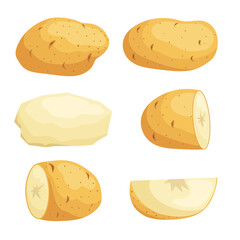Potatoes in flat cartoon style set. Whole, cut, peeled and sliced potato. Vector illustrations isolated on white background.