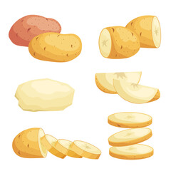 Potatoes in flat cartoon style set. Whole, cut, peeled and sliced potatoes. Vector illustrations isolated on white background.